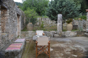 LIOTRIVI Olive Press